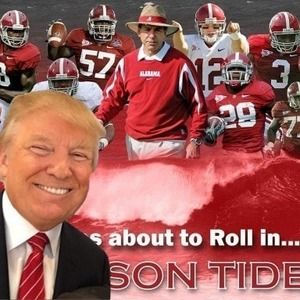 Meet your Posher, Sammy